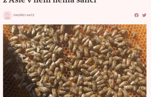 Češi vymysleli „sluneční úl“, parazit z Asie v něm nemá šanci